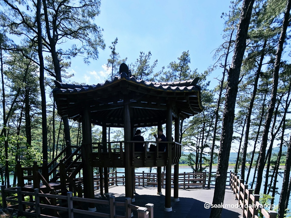 마장호수 출렁다리 이미지 17