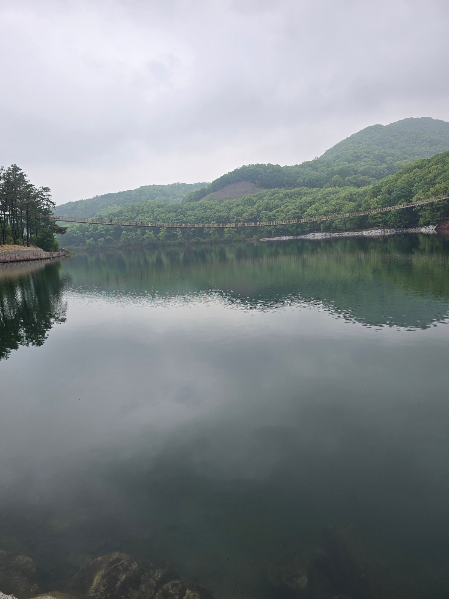 마장호수 출렁다리 이미지 3
