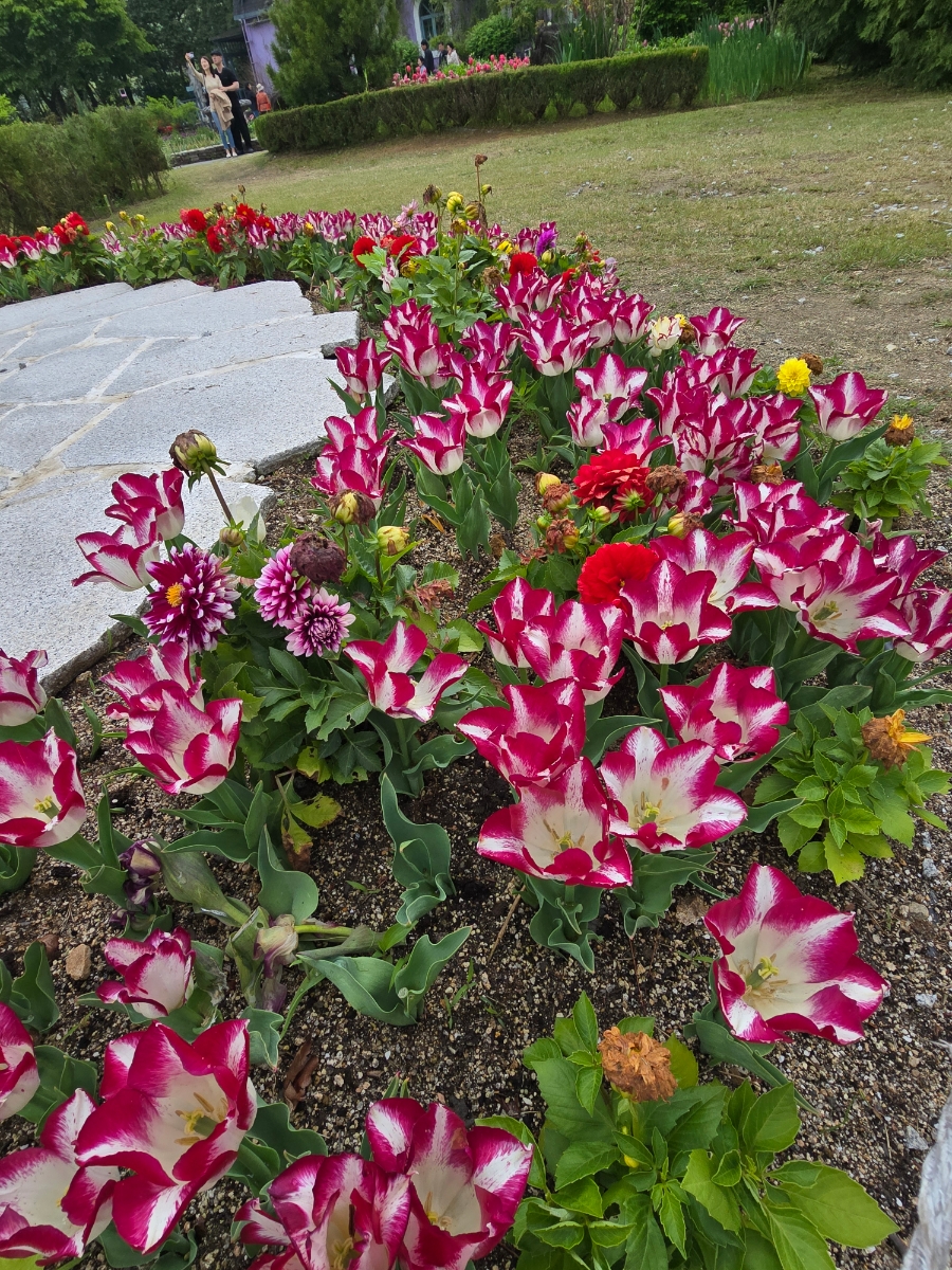 마장호수 출렁다리 이미지 8