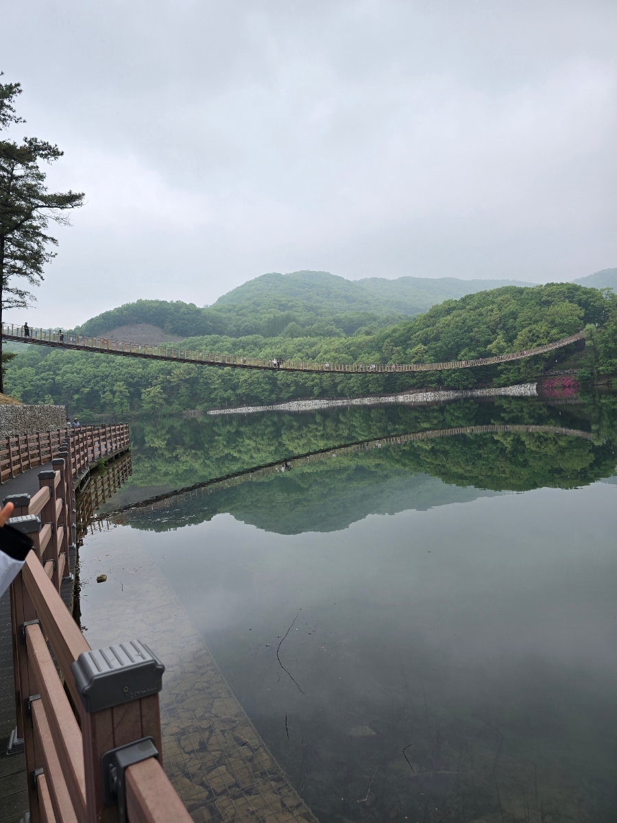 마장호수 출렁다리 이미지 2