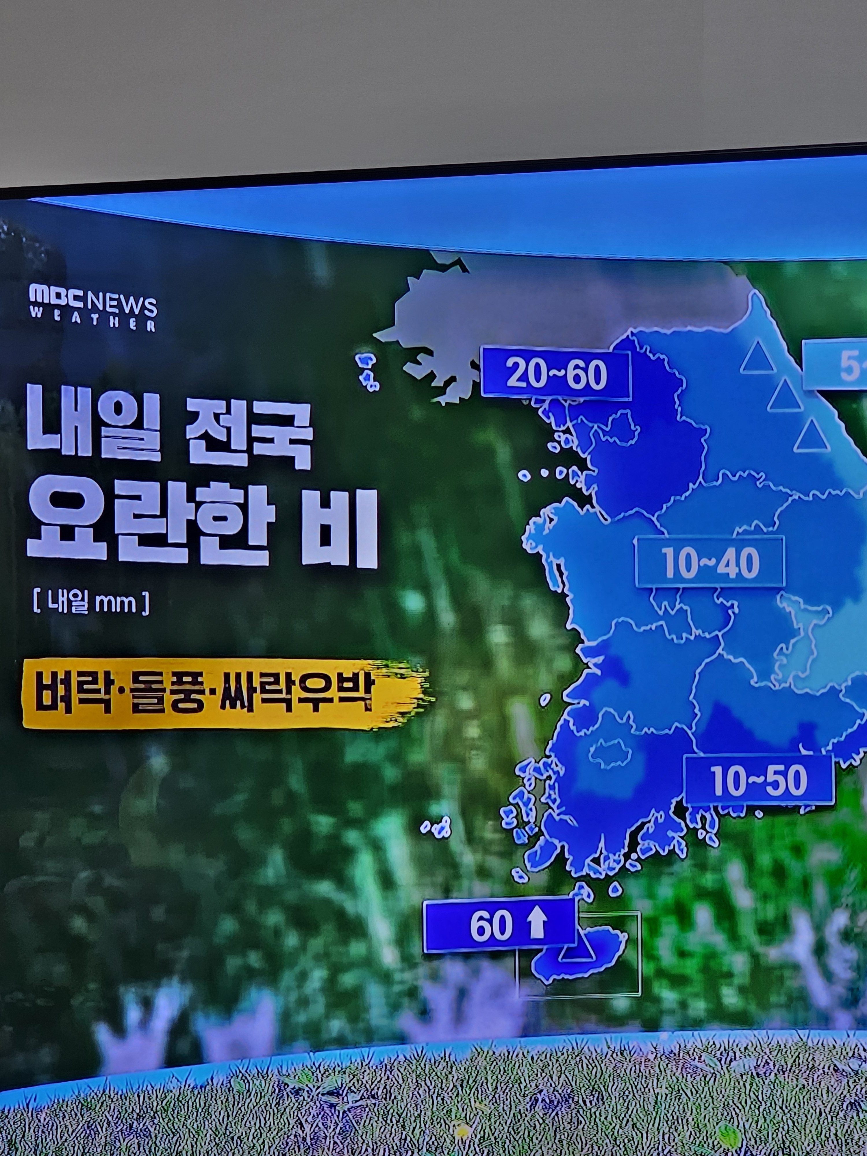 태동반점 이미지 23