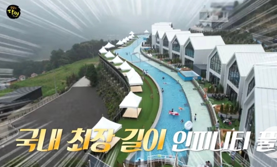 꽃비