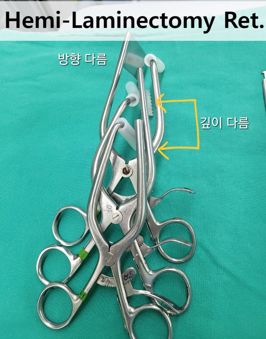 spine 준비