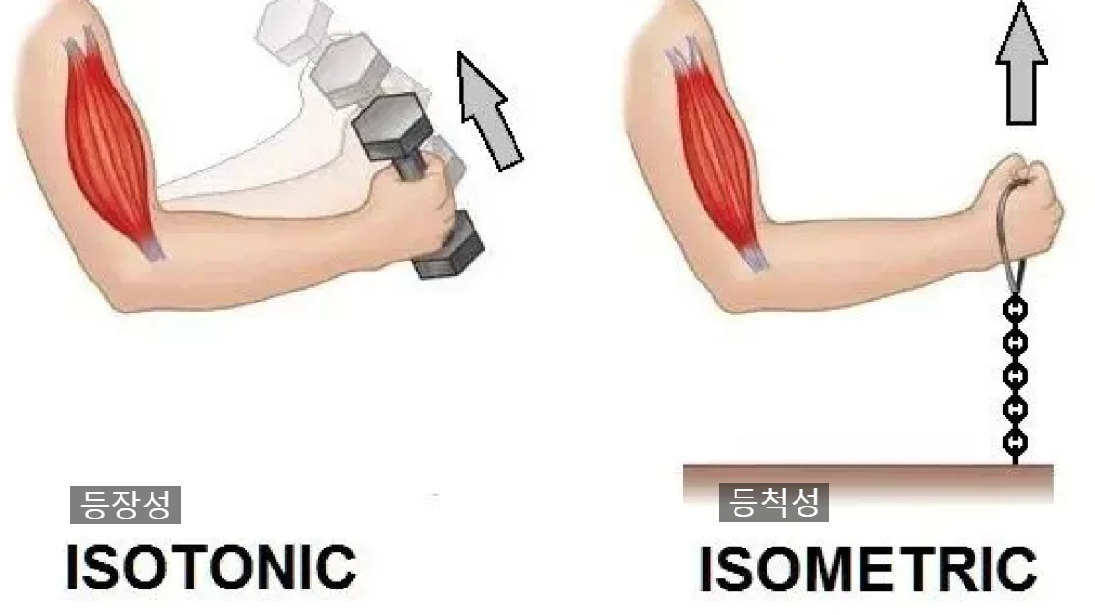 isotonic-exercise-1200x675.jpg