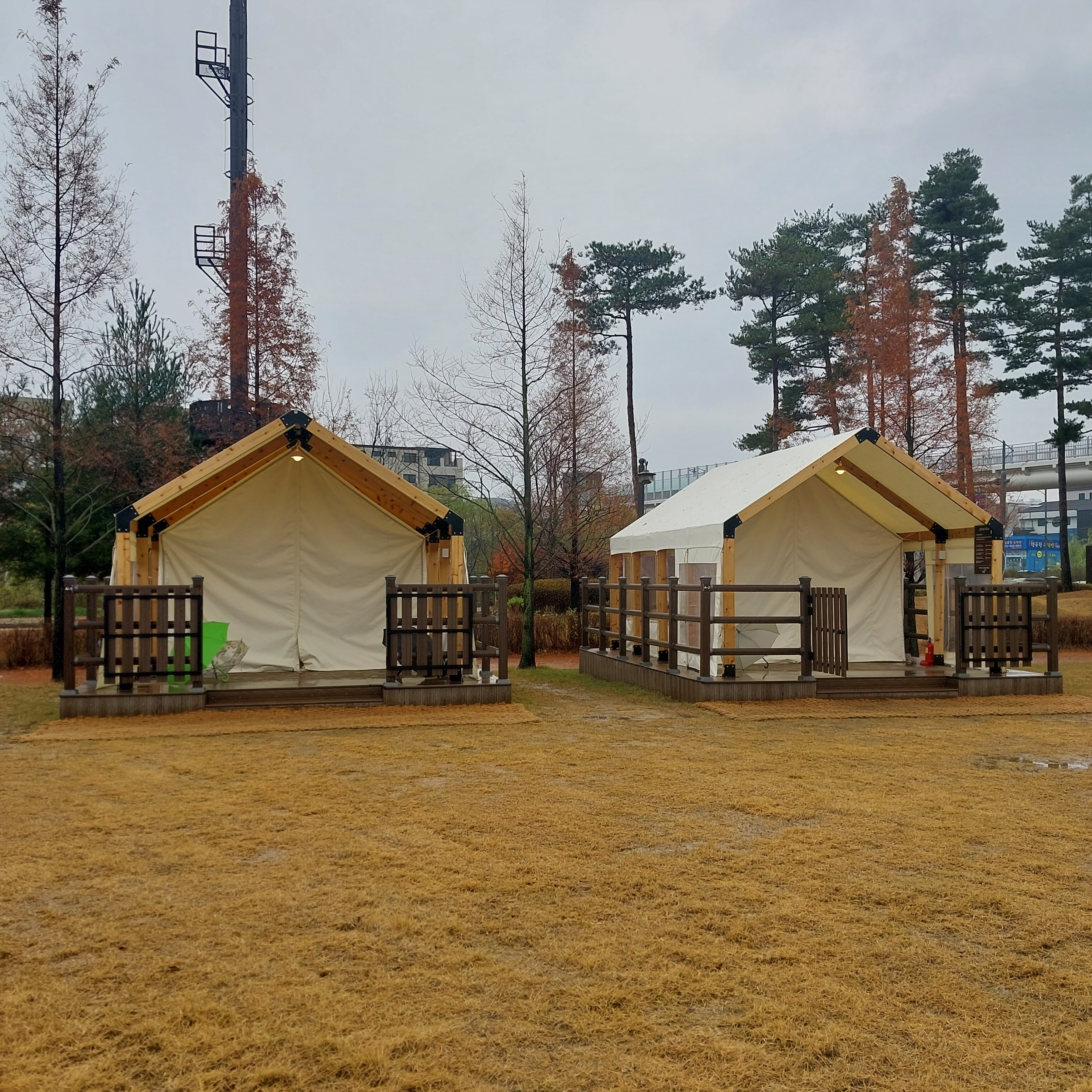 운정호수공원 반려견 산책
