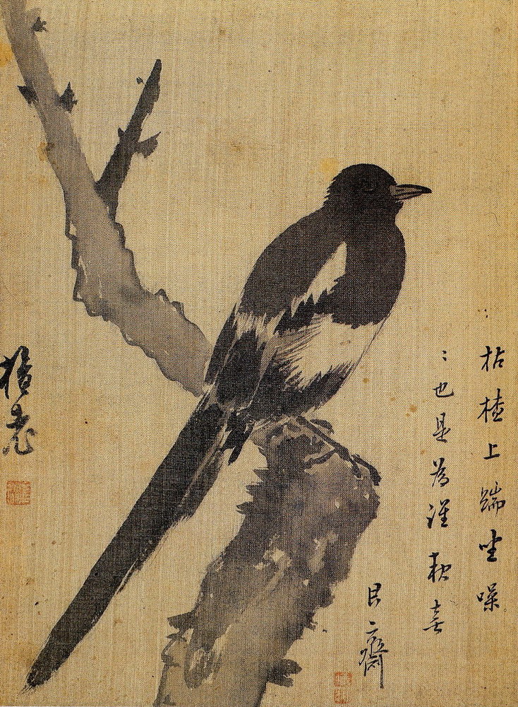 Magpie by Kim Dare Magpie by Kim Dare