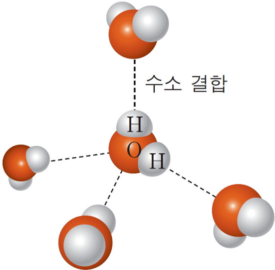 물의 특징 / 물분자의 수소결합 : 네이버 블로그