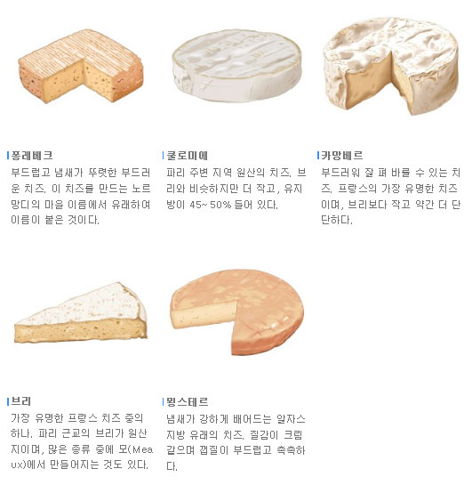 치즈의 종류 : 네이버 블로그